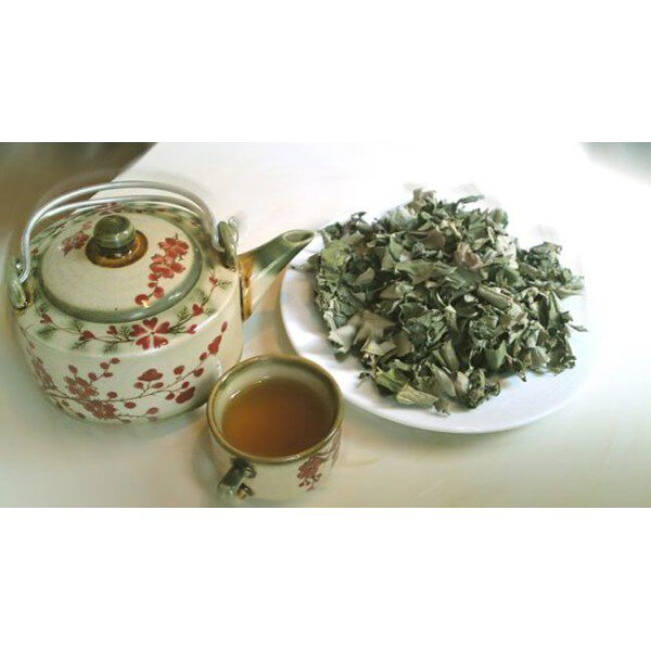 10 Lợi ích của Lá SEN đối với cơ thể