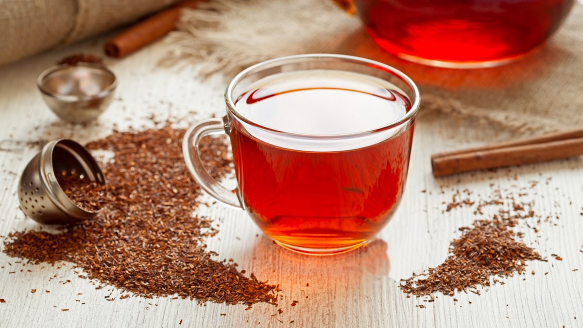 Trà rooibos